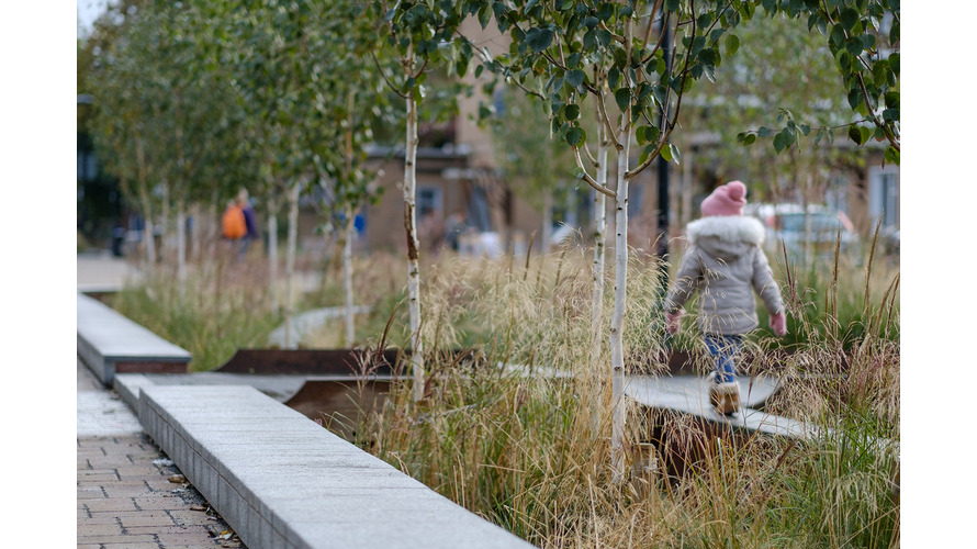 New trees in a development, with a child walking amongst them. You can see the back of the child, who is wearing a coat and a pink hat